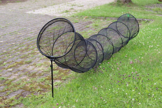 Fischreuse. Fischfang.