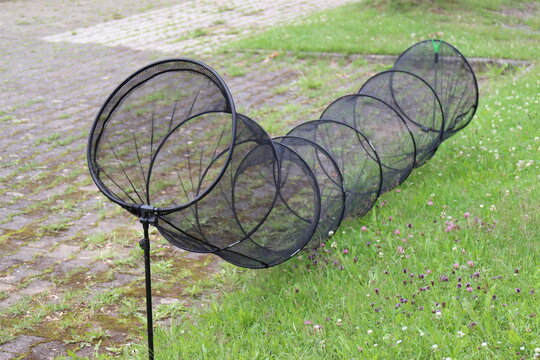 Fischreuse am Seeufer.