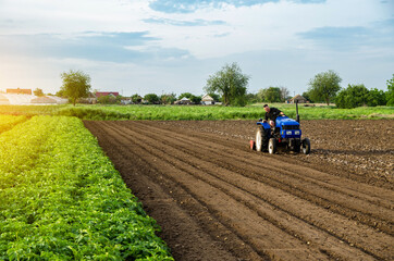 The farmer works the field after harvest. Blue tractor on a farm field. Milling soil, crushing...