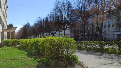 City street view on a bright sunny day. Walk along the sidewalk with green lush trees and beautiful buildings