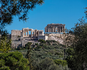 Fototapeta na wymiar Parthenon on Acropolis of Athens Greece, between pine and olive trees foliage