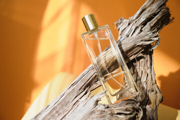 glass perfume bottle in driftwood, natural shade background