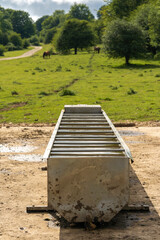 Drinking fountain for cattle in the forest.