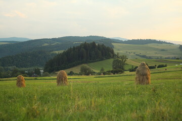 Hay sheaves on the green field
