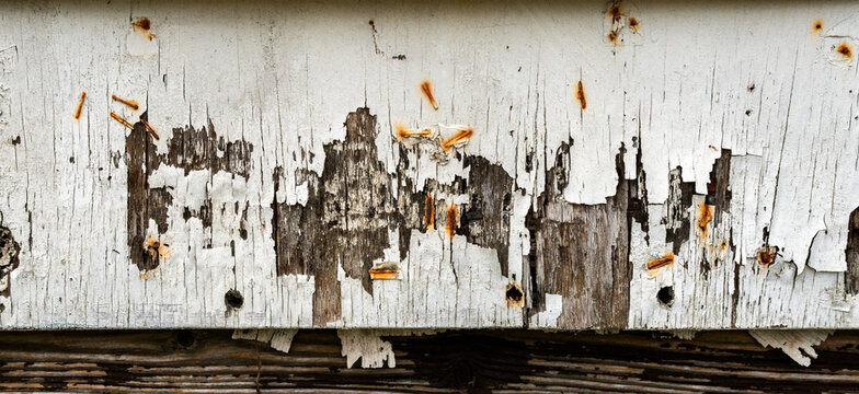 old white wooden bill-board with rusted stapler pins, flaking paint.