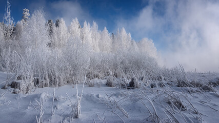 winter landscape with a snow-covered forest in the Urals, Russia