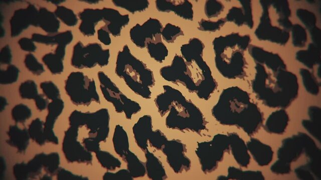 Simple leopard print motion background. This animal print background animation is full HD and a seamless loop.