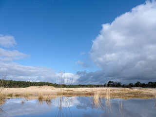 Naturereserve De Soester Duinen, Utrecht Province, The Netherlands