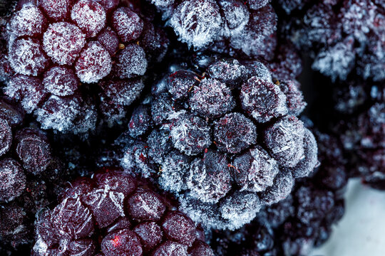 Frozen and covered with hoarfrost blackberry macro photo close-up. Berries for a healthy diet