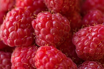 Fresh ripe juicy beautiful raspberries close up