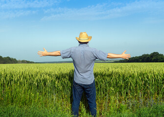 Agronomist inspects the wheat field. Raised hands a symbol of a good harvest