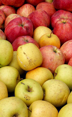 organic and fresh apples in a market