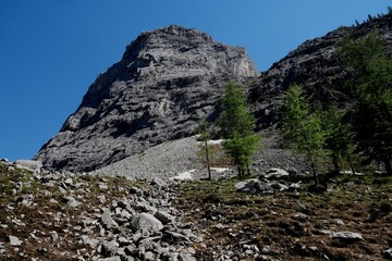 Bogart Tower at Ribbon Creek kananaskis Alberta Canada