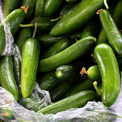organic and fresh cucumbers in a market
