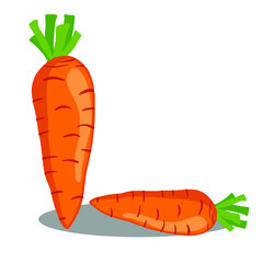 set of carrots