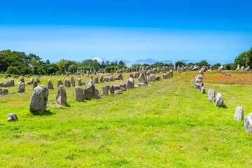 Carnac in Brittany, stones field, alignment of menhirs
