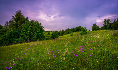 A summer landscape with wildflowers blooming on the slope of a ravine and a stormy sky