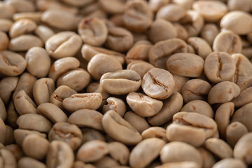 Raw and roasted coffee beans