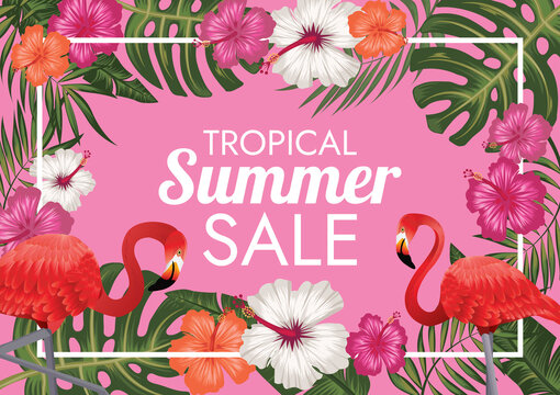 tropical florals labels summer sale