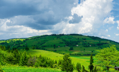 landscape with green grass and clouds