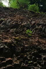 green moss on the rocks