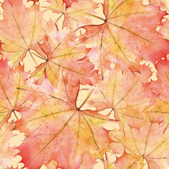 Seamless Watercolor Pattern with Dry Autumn maple Leaves. Seasonal Fallen colorful plants. Hand drawn illustration on white background