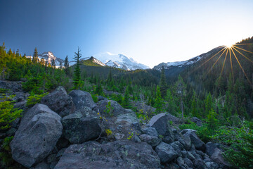 Mountain forest landscape