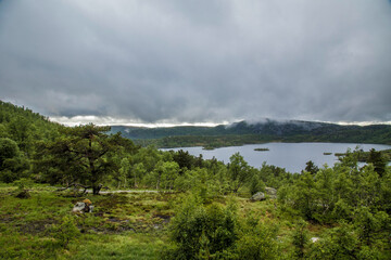 fog clouds on an otherwise gray day