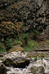 waterfall in the forest