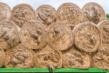 Stack of the hay bales