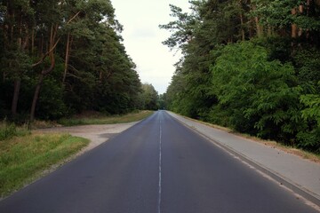 Asphalt road leading through the forest with a branch to a gravel road.