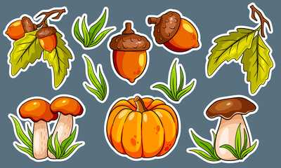 Autumn set. Mushrooms, pumpkin, acorns, grass, oak leaves.