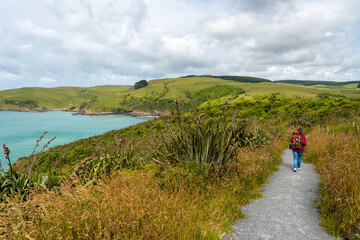Fototapeta na wymiar Landscape at Penguin bay on the way to Jacks Blowhole, New Zealand