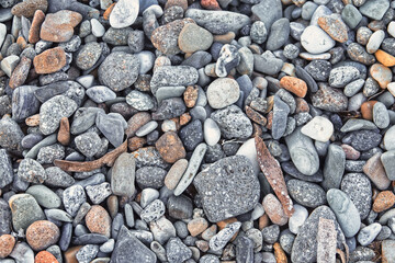 small colored pebbles on the beach. Pebble background on the beach 