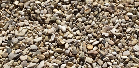 Pebbles of sea coast with fallen needles of mediterranean pine
