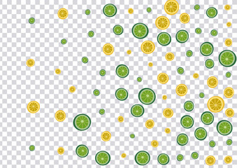 Juicy Citrus Background Transparent Vector. Summer Set. Juicy Lime Decor. Mojito Lime Grass Decoration.
