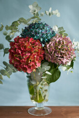  Autumn still life with flowers in vase.Beautiful bouquet of hydrangeas.