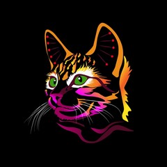 Colorful bright cat on a black background. Abstract creative vector illustration.