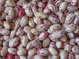 crimson beans legumes food