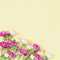 Natural layout made of  colorful flowers on yellow background. Blooming concept. Creative copy space.