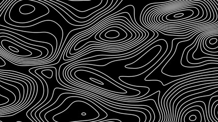 Fractal lines background. Topographic map like abstract backdrop - obrazy, fototapety, plakaty