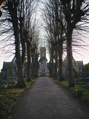 Alley in the gothic cemetery