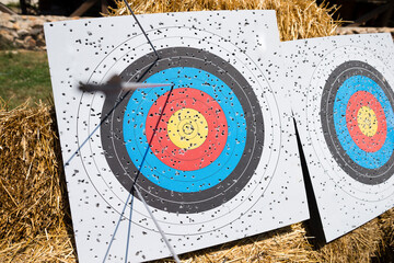 Archery target board with arrows