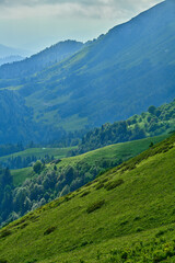 Obraz premium Landscape