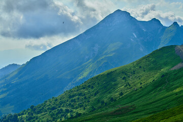 Fototapeta premium Landscape