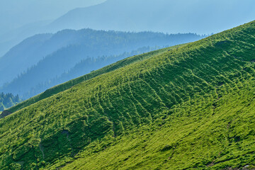 Obraz premium Landscape