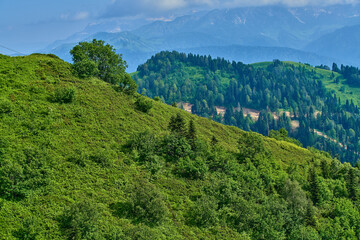 Obraz premium Landscape