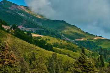 Obraz premium Landscape