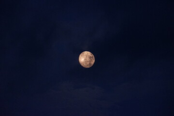 Mond