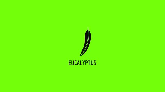 Eucalyptus leaf icon animation